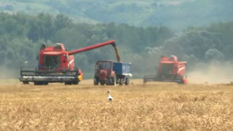 RAPORT DE TARA. Autoritatile ialomitene prefera regionalizarea pe criterii economice Imagine