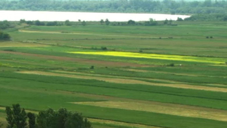 RAPORT DE TARA. Cea mai mare ferma din Europa se afla in Braila Imagine