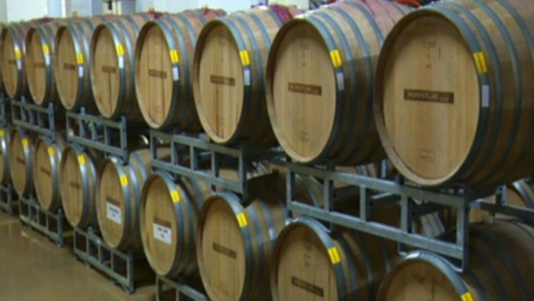 RAPORT DE TARA. Cea mai mare podgorie din Romania si fabrica de panificatie Dobrogea Imagine