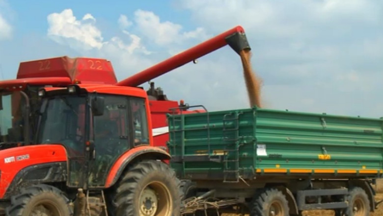 RAPORT DE TARA. Criza a reinviat agricultura din Ilfov Imagine
