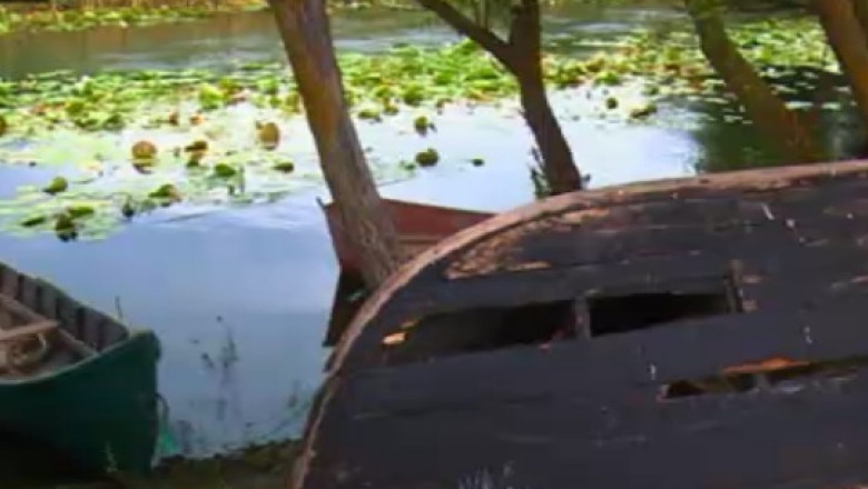 RAPORT DE tARA. Delta Dunarii, intre bogatia naturii si saracia oamenilor Imagine