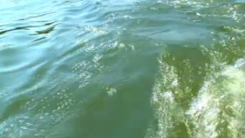 RAPORT DE TARA. Dunarea, o atractie a judetului Calarasi Imagine