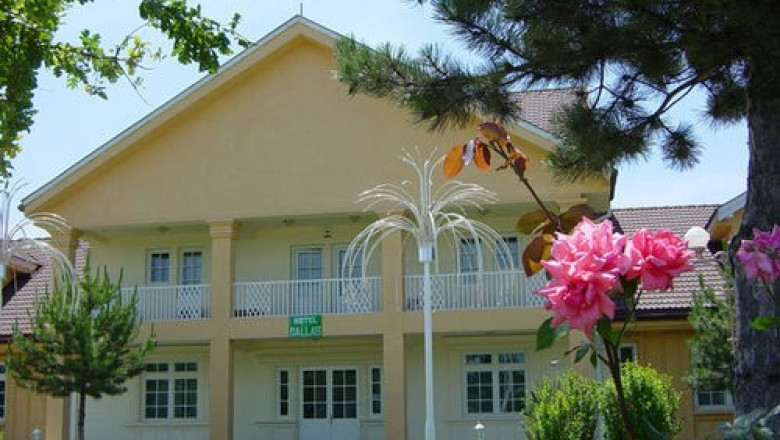 RAPORT DE TARA. In Ialomita se afla copia a fidela a fermei din serialul Dallas Imagine