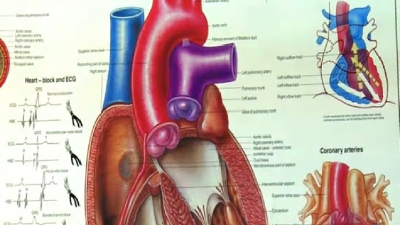 RAPORT DE TARA. Institutul Inimii din Targu Mures, distrus de birocratie si de politica Imagine