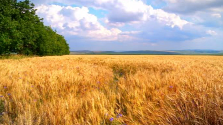 Raport de tara la final: judetul Vaslui Imagine