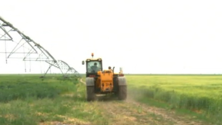 RAPORT DE TARA. Recoltele cu plante hibrid se intind pe sute de hectare in judetul Braila Imagine