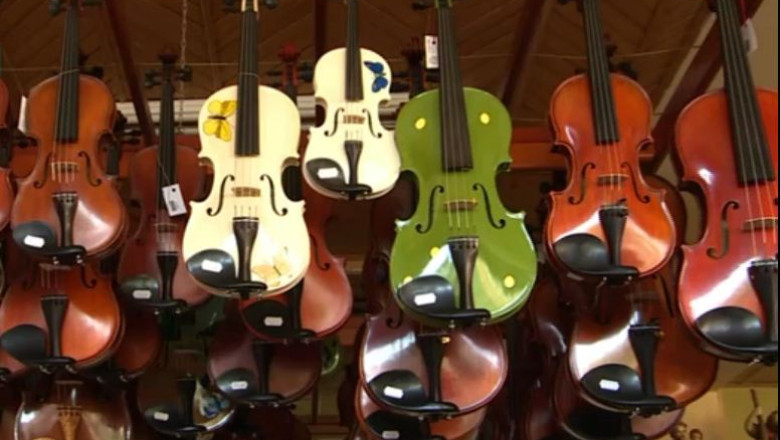 RAPORT DE TARA. Reghin, orasul lutierilor Imagine