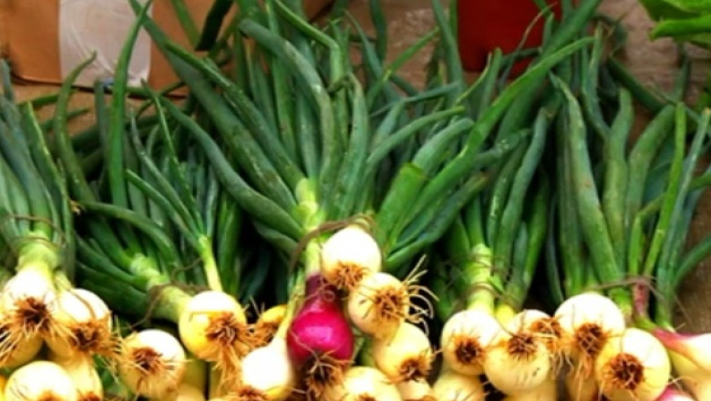 RAPORT DE TARA. Salajenii sunt in Cartea Recordurilor cu cea mai lunga cununa de ceapa din lume Imagine