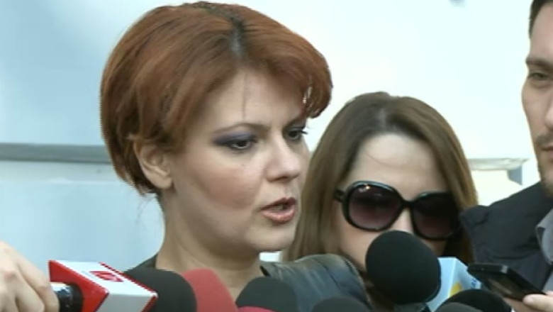 Raportul de expertiza privind suspiciunea de plagiat la doctoratul Olgutei Vasilescu Imagine