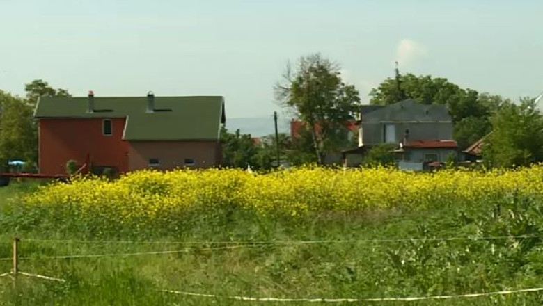 Razboi in instanta pentru teren Imagine