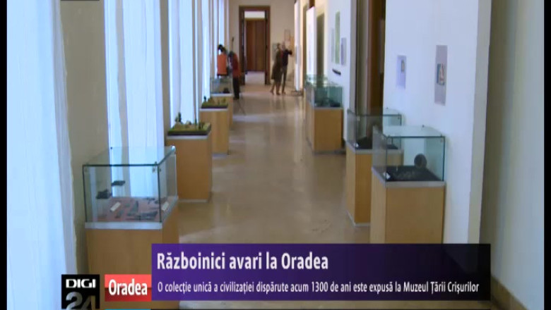 Razboinici avari la Oradea. O colectie a civilizatiei disparute acum 1300 de ani, expusa la Muzeul tarii Crisurilor Imagine
