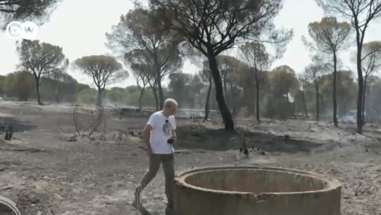 Razboiul pentru apa. Peste o mie de puturi ilegale au fost forate in mijlocul unei paduri, autoritatile s-au facut ca nu vad Imagine