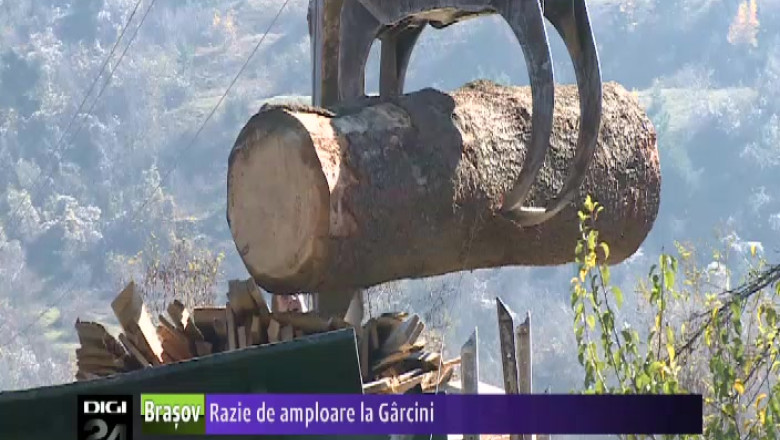 Razie de amploare in cartierul Garcini Imagine