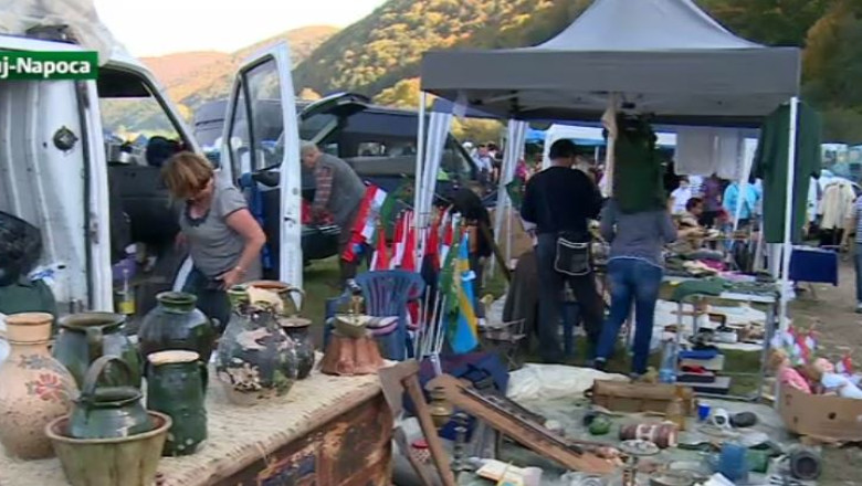 Razie la Negreni. Politistii au confiscat tablouri, flori de mina si monede antice Imagine