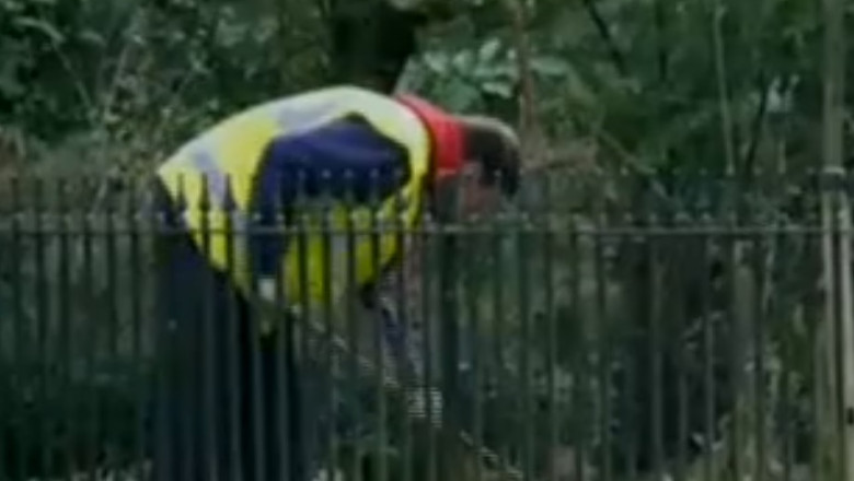 Reactia ActiveWatch, dupa difuzarea documentarului „Vin romanii” Imagine