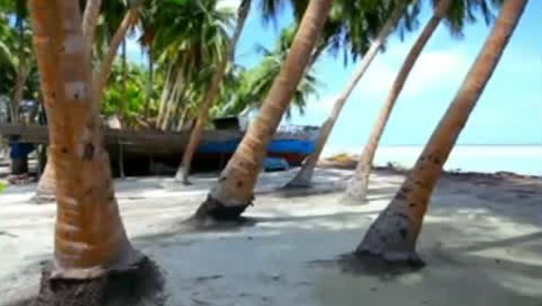 Reclama falsa Imagine