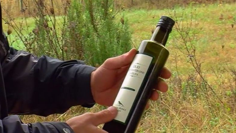 Recolta slaba de masline, in Italia. Pretul uleiului de masline a explodat Imagine