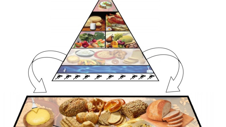 Recomandari nutritionale din partea Ministerului Sanatatii. Tot ce trebuie sa stii despre „Piramida alimentara” Imagine