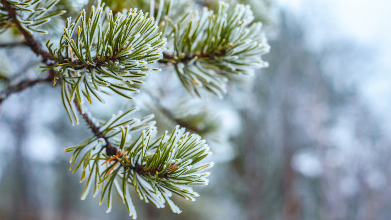 Record de frig azi, in Romania: temperatura negativa inregistrata la o statie meteo din Harghita Imagine