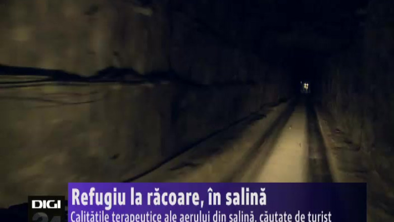 Refugiu la racoare, in salina  Imagine