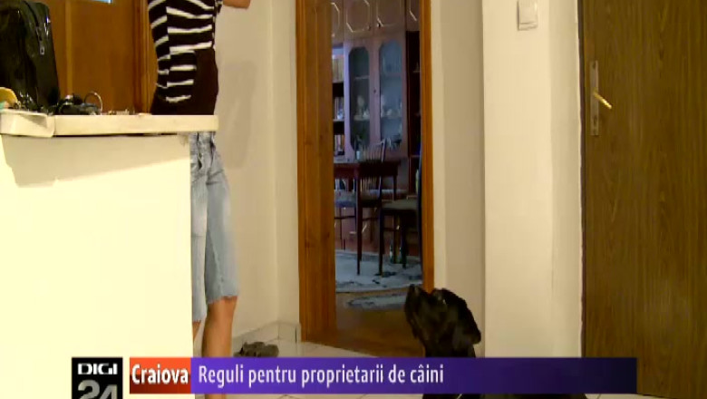 Reguli pentru proprietarii de caini. Craiovenii ar putea avea caini in apartamente cu acordul scris al vecinilor Imagine