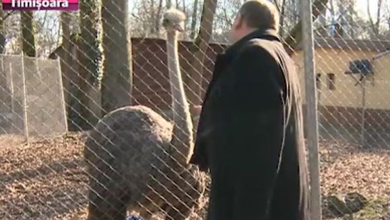 Relaxare de Craciun, la Gradina Zoologica Imagine