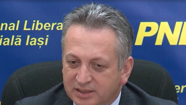 Relu Fenechiu, cariera politica Imagine