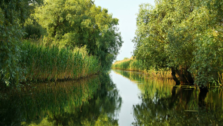 REPORTAJ Digi24. Delta Dunarii, noul Eldorado imobiliar. Cat de usor pot fi vandute terenurile protejate din Vadu si Corbu  Imagine