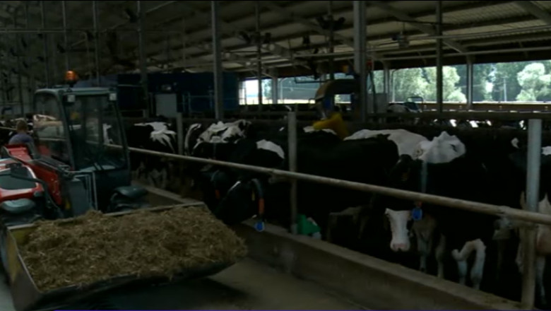 REPORTAJ Digi24. Lectia poloneza: investitii in autostrazi si agricultura cu bani europeni Imagine