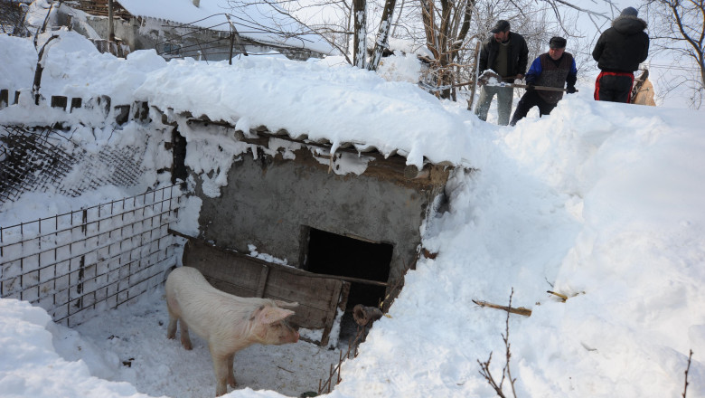 REPORTAJ in Buzau. Blocati de troienele de trei metri, oamenii si-au croit tunele in propriile curti Imagine