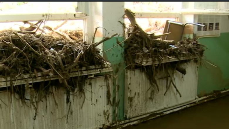 REPORTAJ. Romanii din Serbia, loviti de inundatii, cer ajutor din tara. N-au primit inca niciun raspuns Imagine