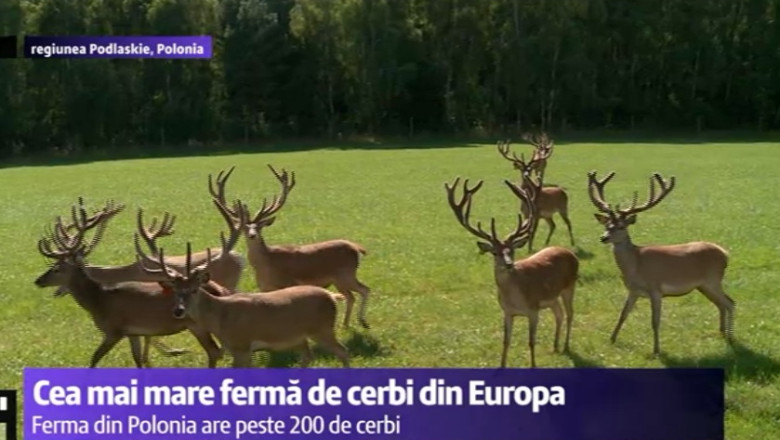 Reportaj. Turist in Polonia Imagine