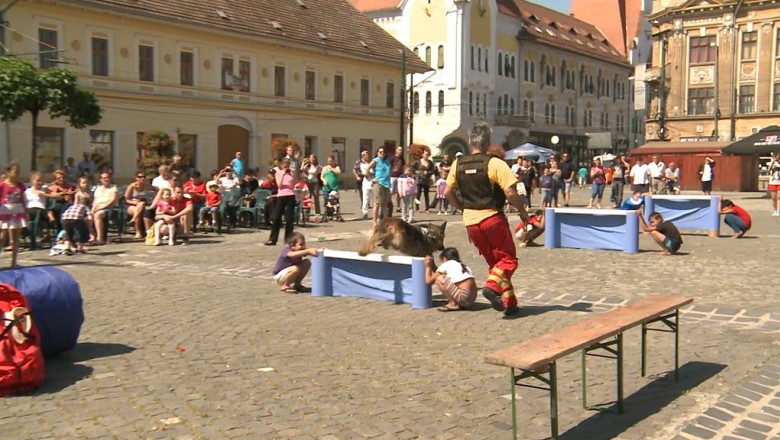 Rescue TM se prezinta: caini dresati sa salveze vieti Imagine