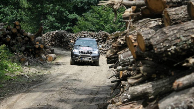 Restrictii de circulatie in Iasi. Campionatul National de Raliuri inchide mai multe strazi Imagine