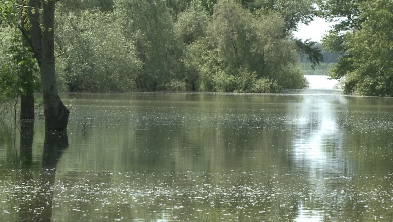 Restrictii de tonaj in Tulcea. Masinile de peste 7,5 tone nu vor circula intre Macin si Smardan Imagine