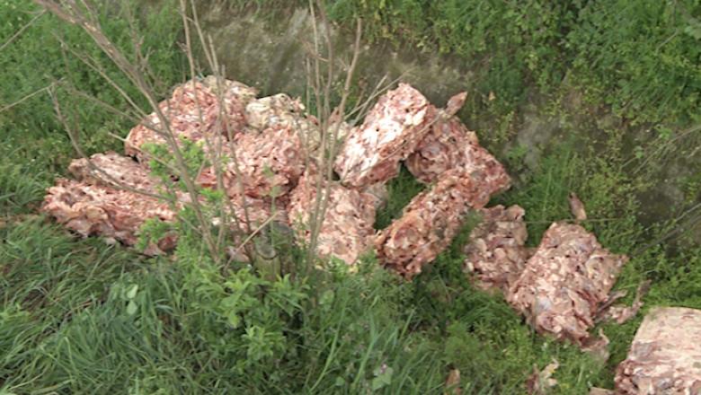 Resturi de carne, aruncate in camp Imagine
