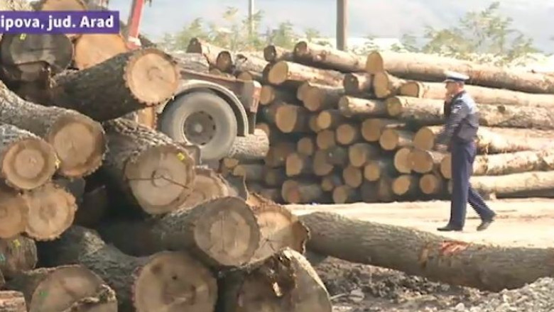 Retea de hoti de lemn din judetul Arad, „taiata" de la radacina Imagine