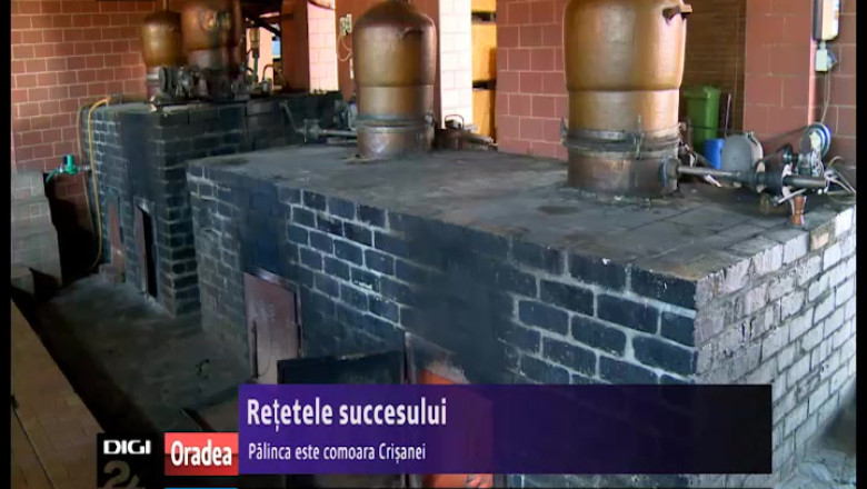 Retetele succesului. Palinca este comoara Crisanei Imagine