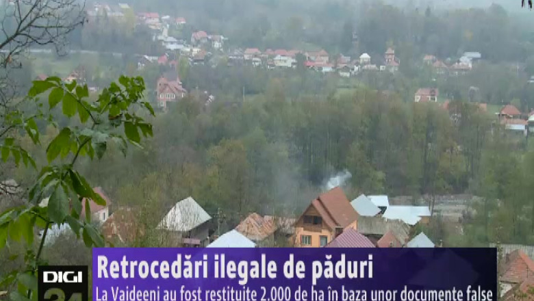 Retrocedari ilegale de paduri. La Vaideeni au fost restituite 2.000 de hectare in baza unor documente false Imagine