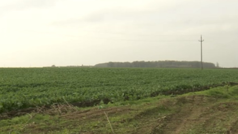 Retrocedarile din Calarasi. Primarii si responsabilii judeteni dau vina unii pe altii Imagine