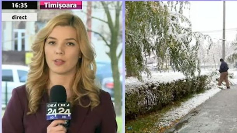 Revin ninsorile in Banat. Va fi cod galben in judetele Timis, Caras-Severin si Hunedoara Imagine