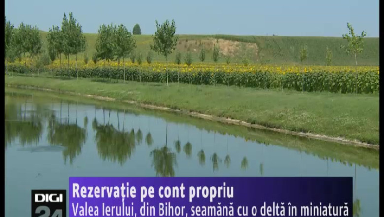 Rezervatie pe cont propriu. Un inginer agronom din Bihor a amenajat pe terenul propriu o delta in miniatura Imagine
