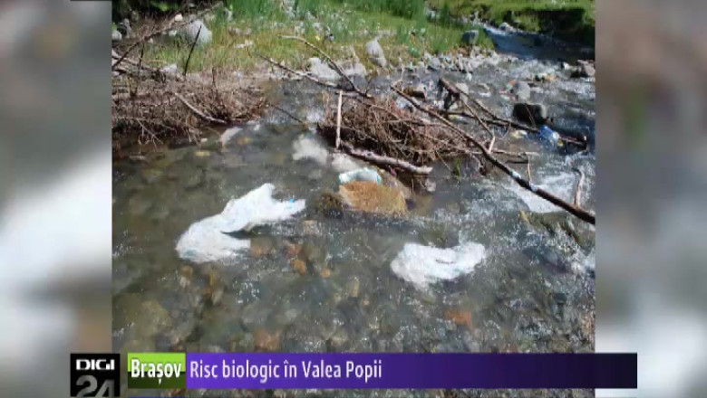 Risc biologic in Valea Popii! Mai multi saci cu deseuri au fost gasiti in paraul Turcu Imagine
