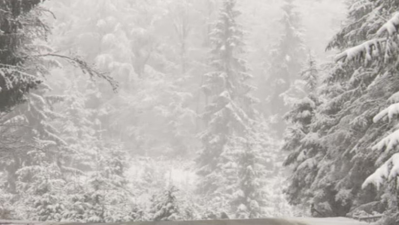 Risc de avalansa pe vaile din Fagaras si Bucegi Imagine