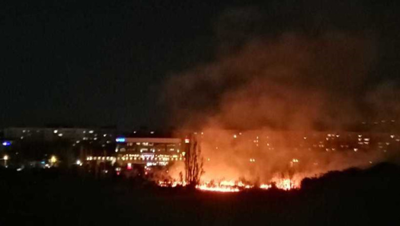 Robert Negoita ii cere lui Nicusor Dan sa se intalneasca pentru a gasi o solutie in privinta Parcului IOR sau sa-si dea demisia Imagine