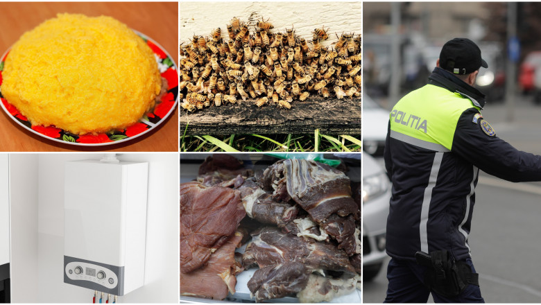 Roi de albine, pastrama de oaie, centrale termice, mamaliga – spagi primite de politisti in ultimii 10 ani Imagine