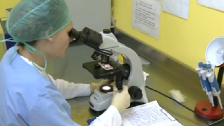 Romani salvati de donatori de celule stem din Europa Imagine