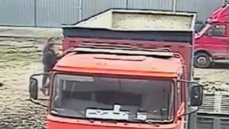 Romani si bulgari exploatati in Italia. Oamenii munceau fara acte pe o plantatie de anghinare Imagine