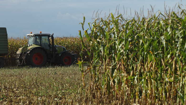 Romania a fost al saptelea producator agricol din Uniunea Europeana, anul trecut Imagine