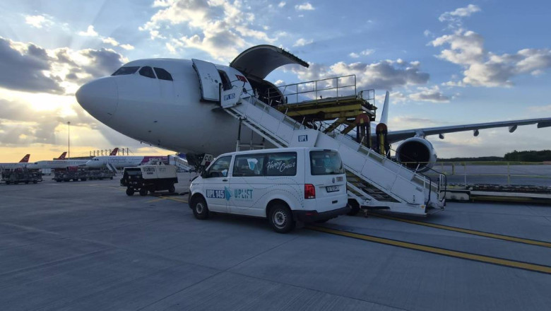 Romania a trimis peste 4.000 de oi in Algeria cu avioane cargo. Tara africana isi asigura necesarul exclusiv de pe piata romaneasca